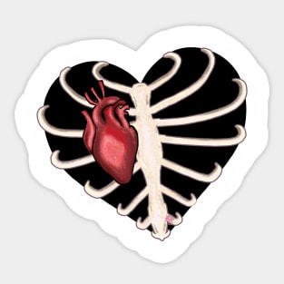 Ribcage Heart Sticker